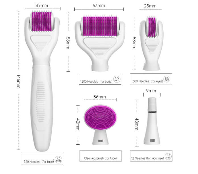 Derma Roller set with 5 interchangeable microneedle heads