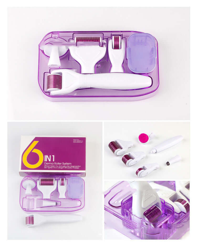 Derma Roller Kit – complete view of case, roller handle, and attachments  I